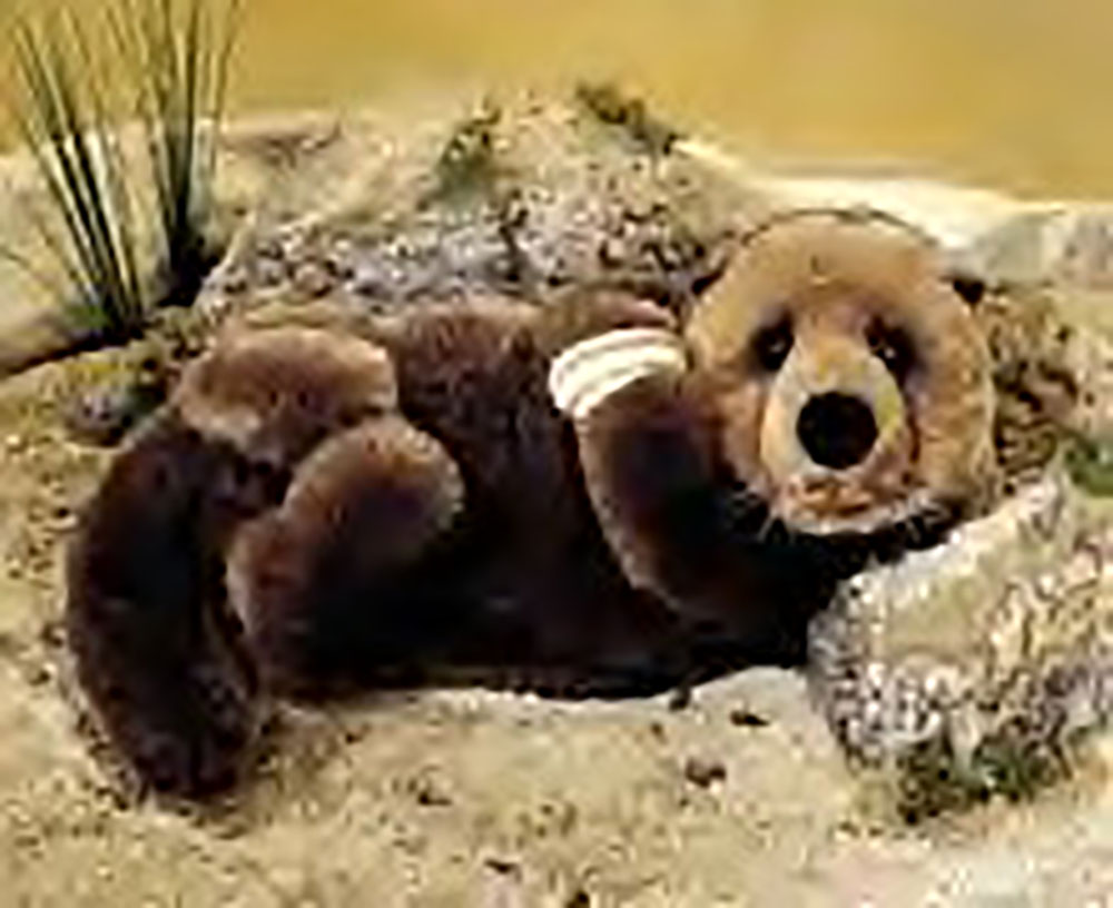 Lou Rankin Plush Oswell the Sea Otter Stuffed Animal Lou Rankin Plush Oswell the Sea Otter Stuffed Animal - Retired January 1999 "Sink or swim I love to play, Making ripples all the day!"