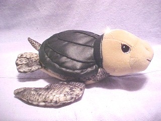 Precious Moments Tender Tail stuffed animals are Reptile Ornaments and Bean Bag Plush Turtles.