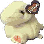 Puffkins Bean Bag Plush Dinky the Yellow Dinosaur Puffkins Bean Bag Plush Dinky the Yellow Dinosaur
- Dinosaurs are the only Puffkins with necks
- DOB 9/9/97
- light purple tag
- introduced the Fall of 1997 and was the first Puffkin to retire
- Poem on Tag: "Dinky loves to dance to move and groove when he gets a chance. He's got all the latest moves to date, so at the next dance you know Dinky won't be late."