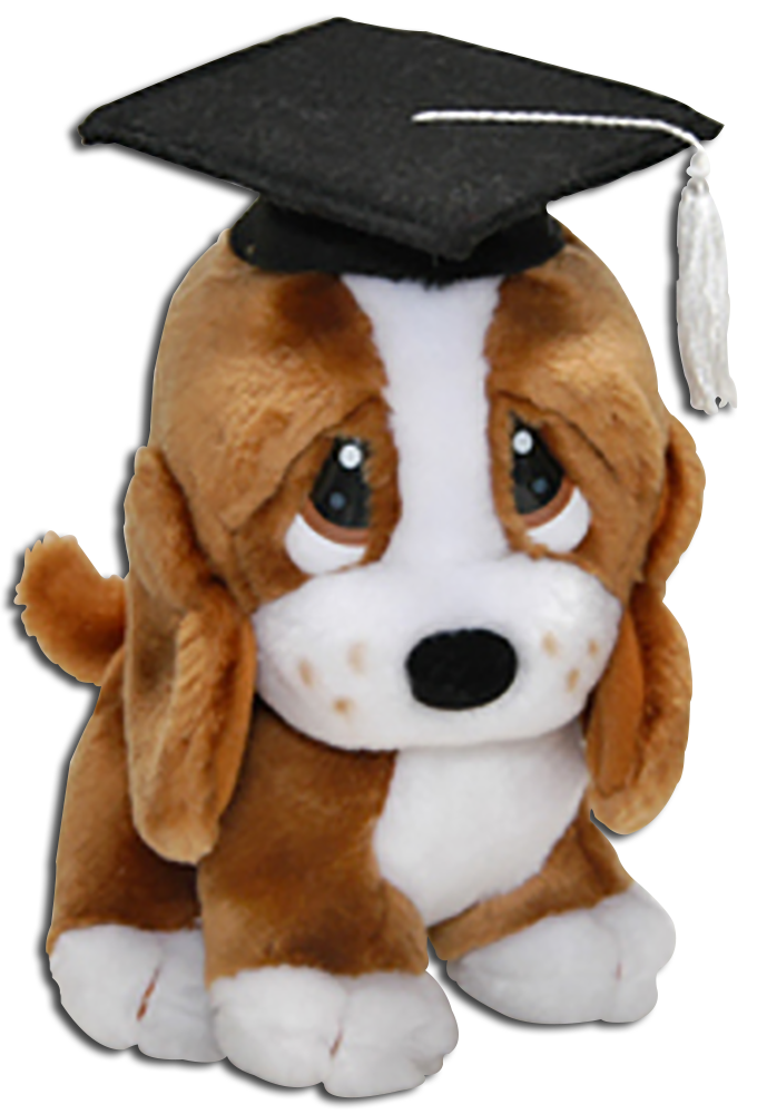 Graduation Basset Hounds