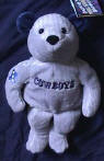 the front of the salvino's bammer bean bag plush dallas cowboys teddy bear