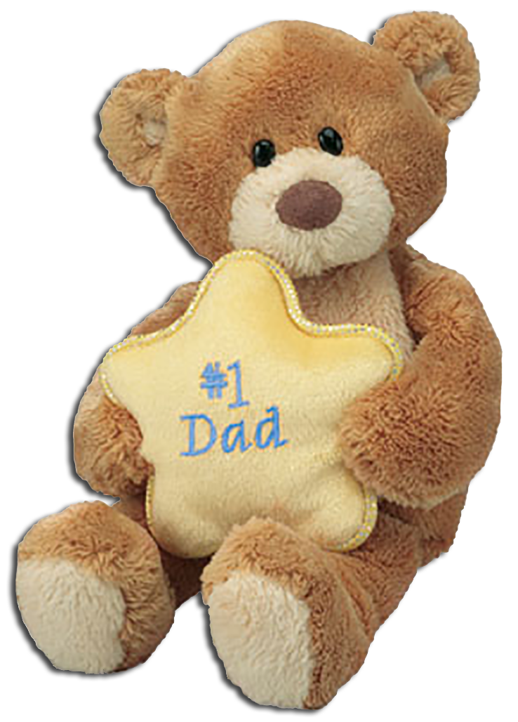 Gund Thinking of You Father's Day Teddy Bears