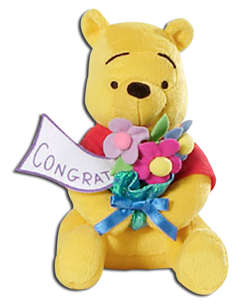 Winnie the Pooh is ready to show someone how much you think of them on their special day! Congratulate them with Pooh and his bouquet of flowers!